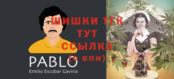 гидра Нея
