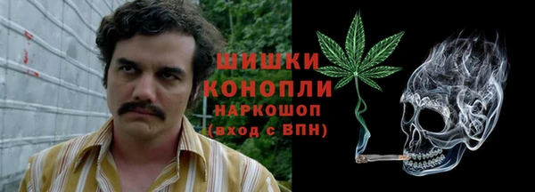гидра Нея